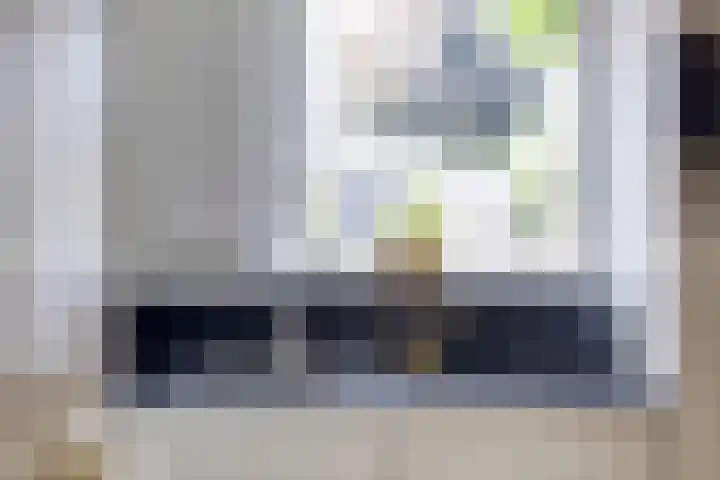 Conference 14 Elst thumbnail 10