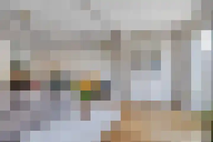 Conference 14 Elst thumbnail 13
