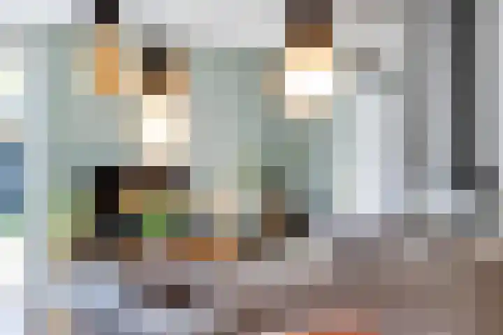 Conference 14 Elst thumbnail 14