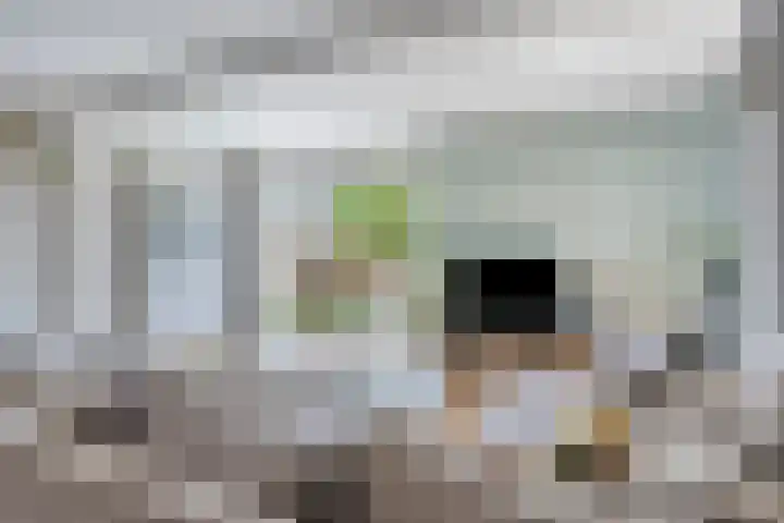 Conference 14 Elst thumbnail 15