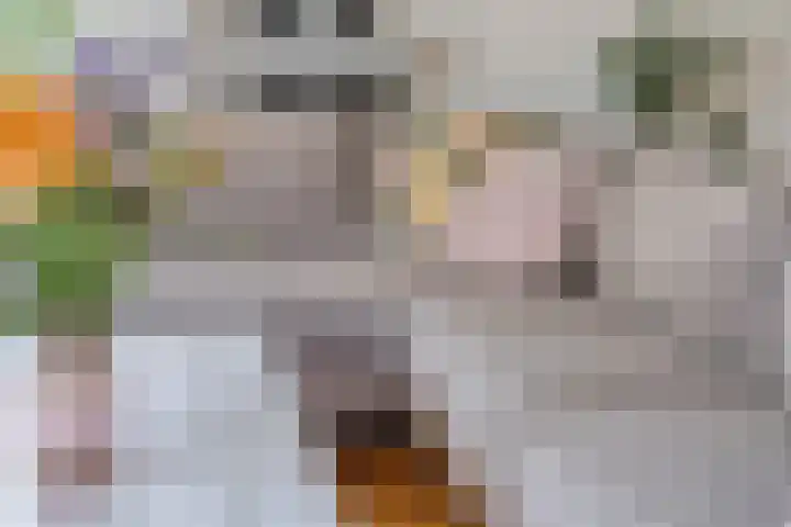 Conference 14 Elst thumbnail 16