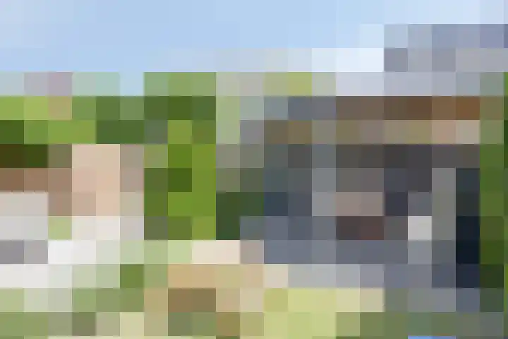 Conference 14 Elst thumbnail 17