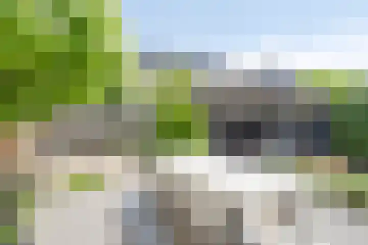 Conference 14 Elst thumbnail 20