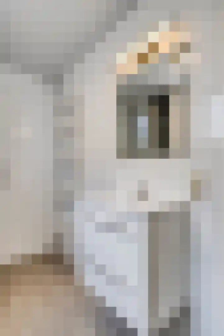 Conference 14 Elst thumbnail 23
