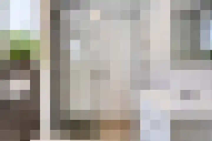 Conference 14 Elst thumbnail 26