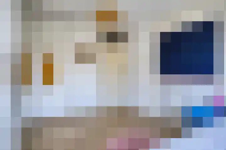 Conference 14 Elst thumbnail 28