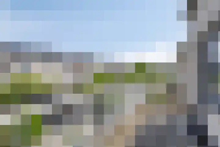 Conference 14 Elst thumbnail 29