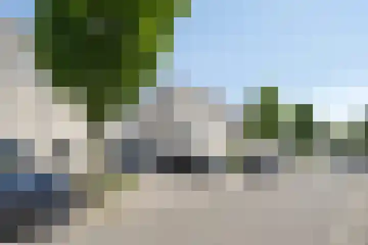 Conference 14 Elst thumbnail 40