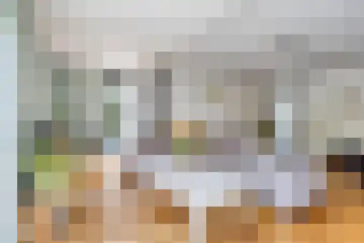 Conference 14 Elst thumbnail 6