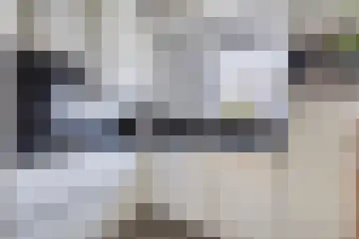 Conference 14 Elst thumbnail 9