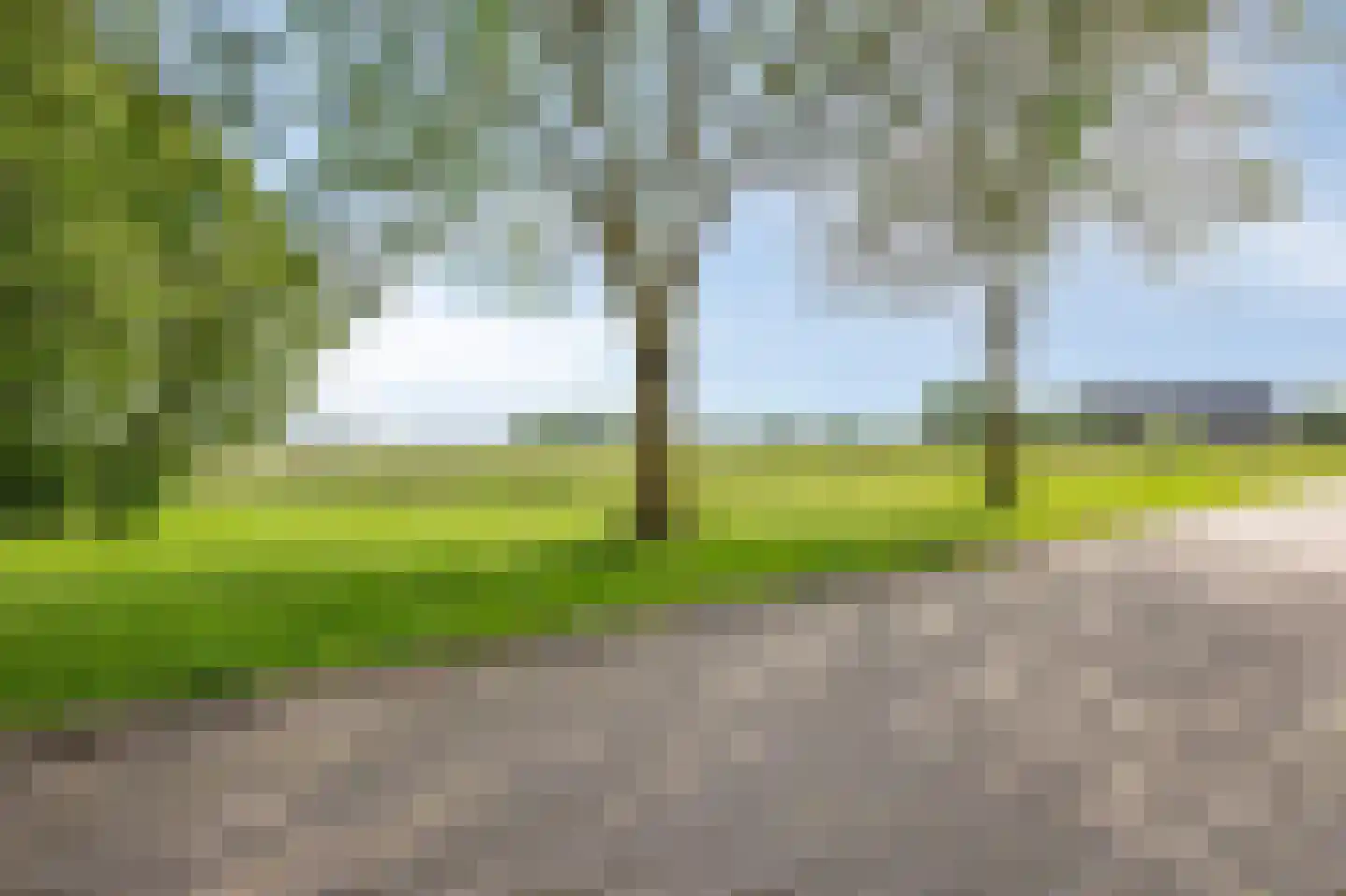 Conference 16 Duiven thumbnail 50