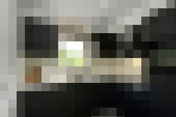 Conference 16 Elst thumbnail 17