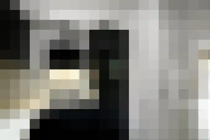 Conference 16 Elst thumbnail 18