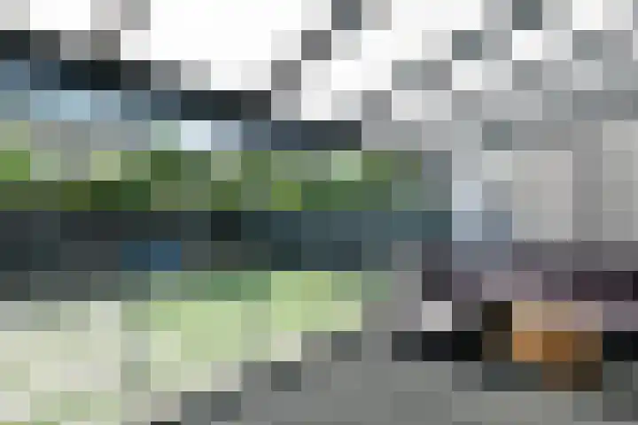 Conference 16 Elst thumbnail 20