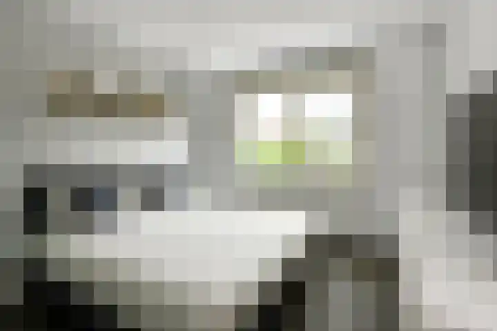 Conference 16 Elst thumbnail 21
