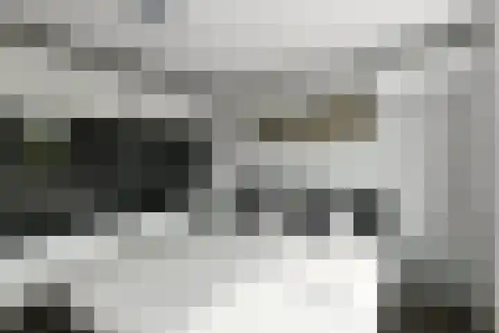 Conference 16 Elst thumbnail 23