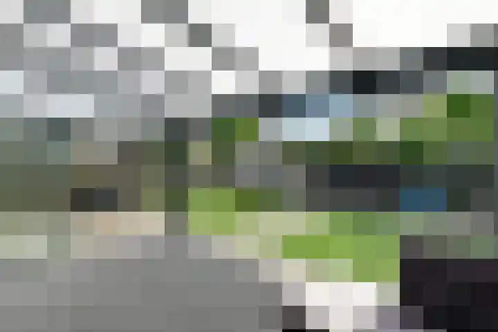 Conference 16 Elst thumbnail 39