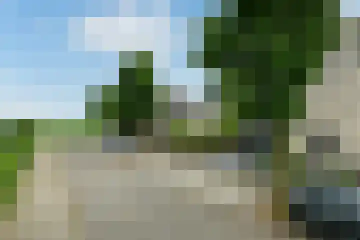 Conference 16 Elst thumbnail 4