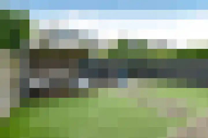 Conference 16 Elst thumbnail 43