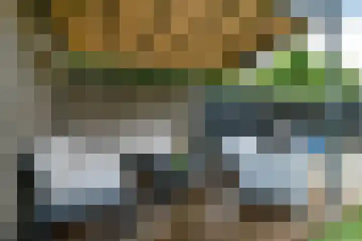 Conference 16 Elst thumbnail 44