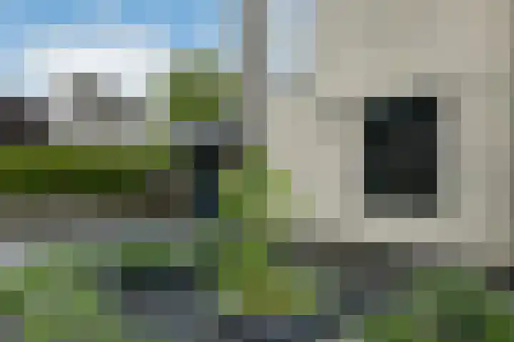 Conference 16 Elst thumbnail 8