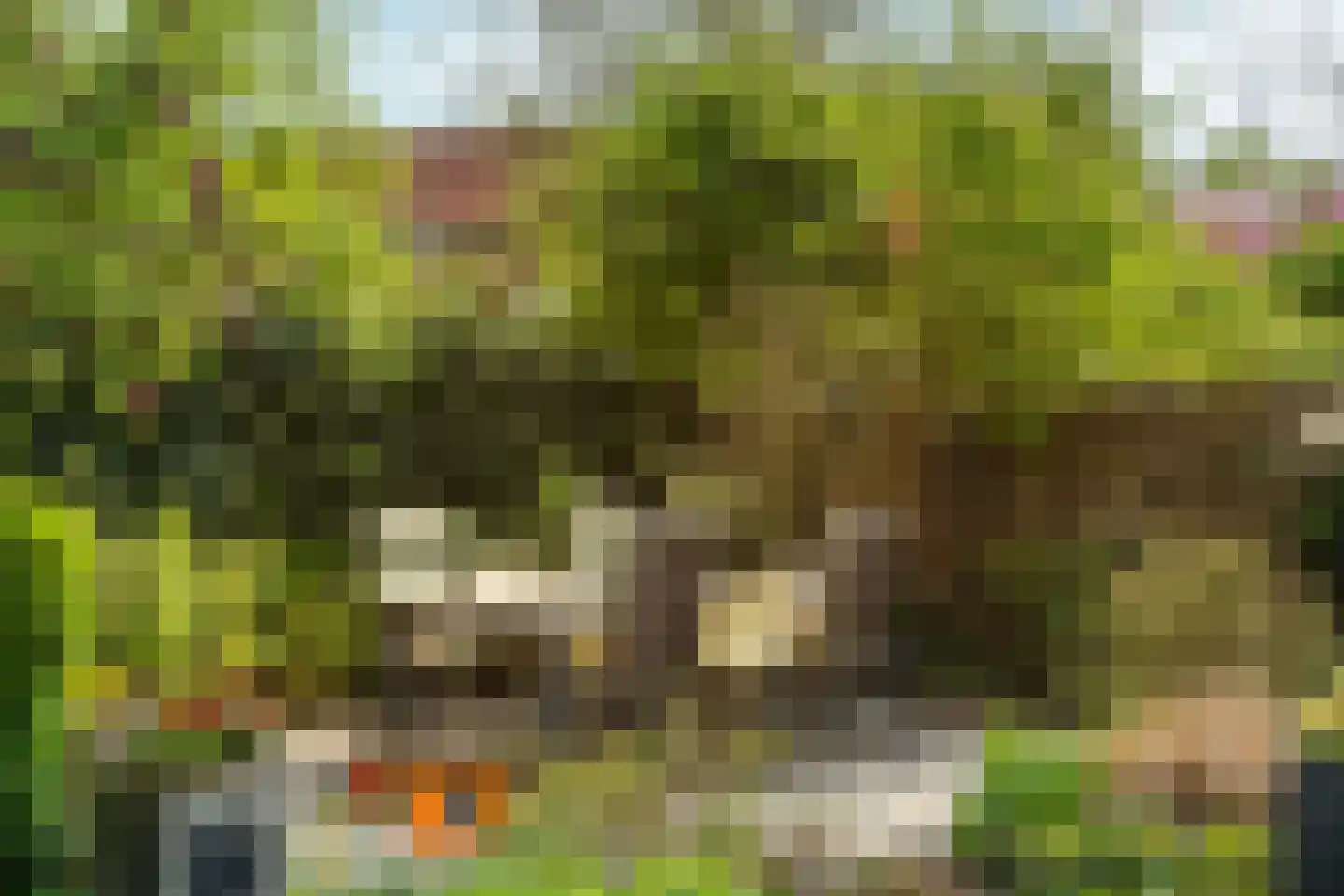Conference 5 Arnhem thumbnail 46