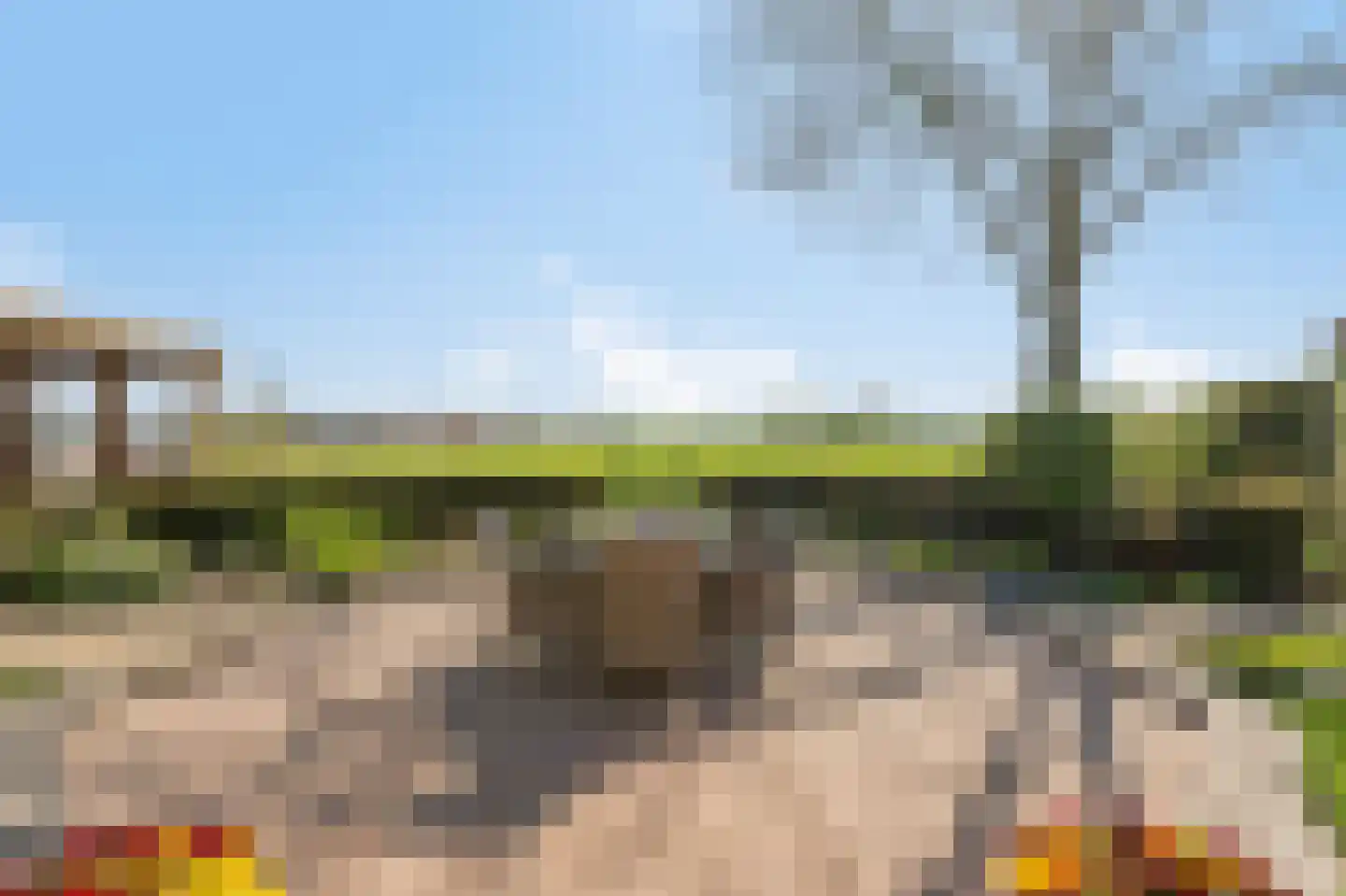 Conference 7 Duiven thumbnail 58