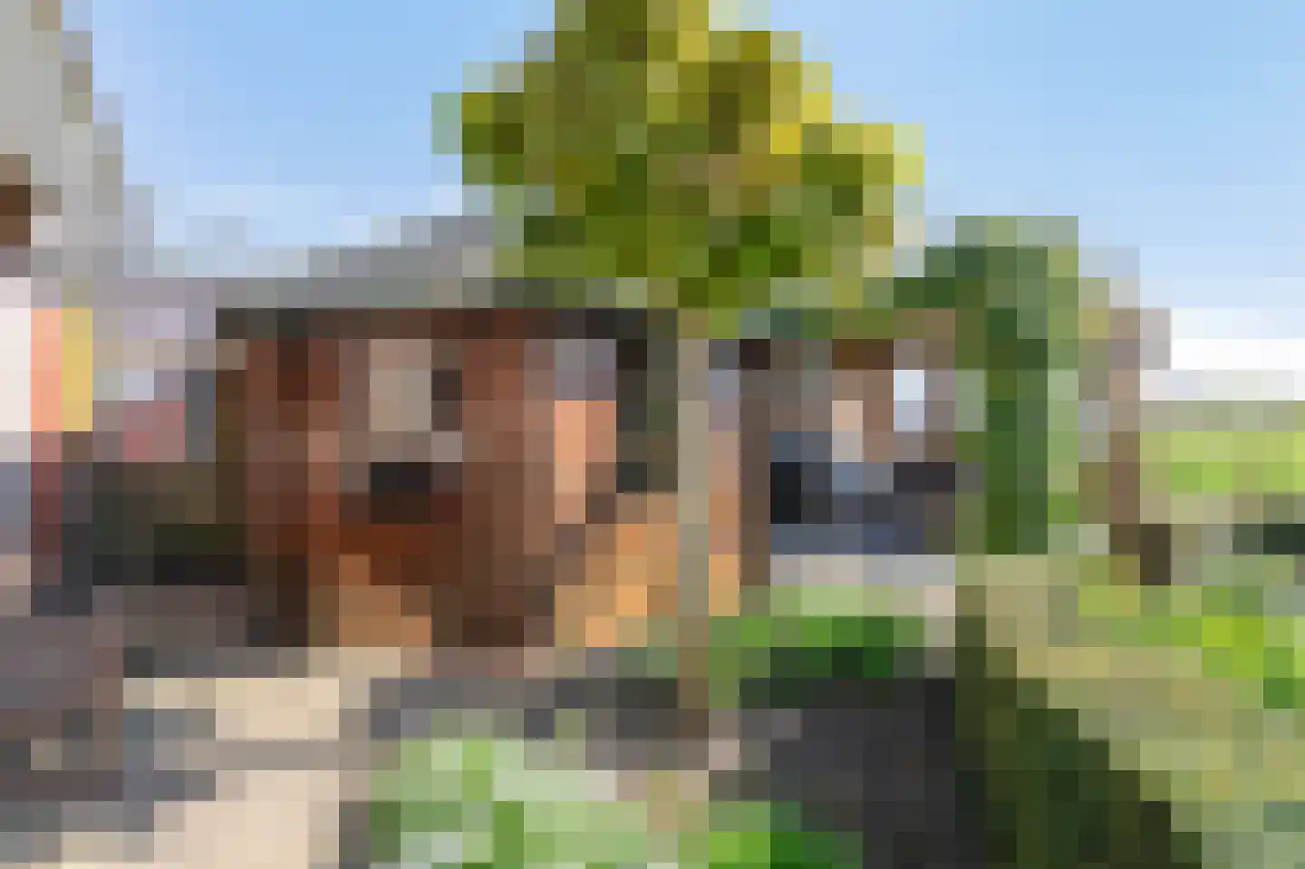Conference 7 Duiven thumbnail 61