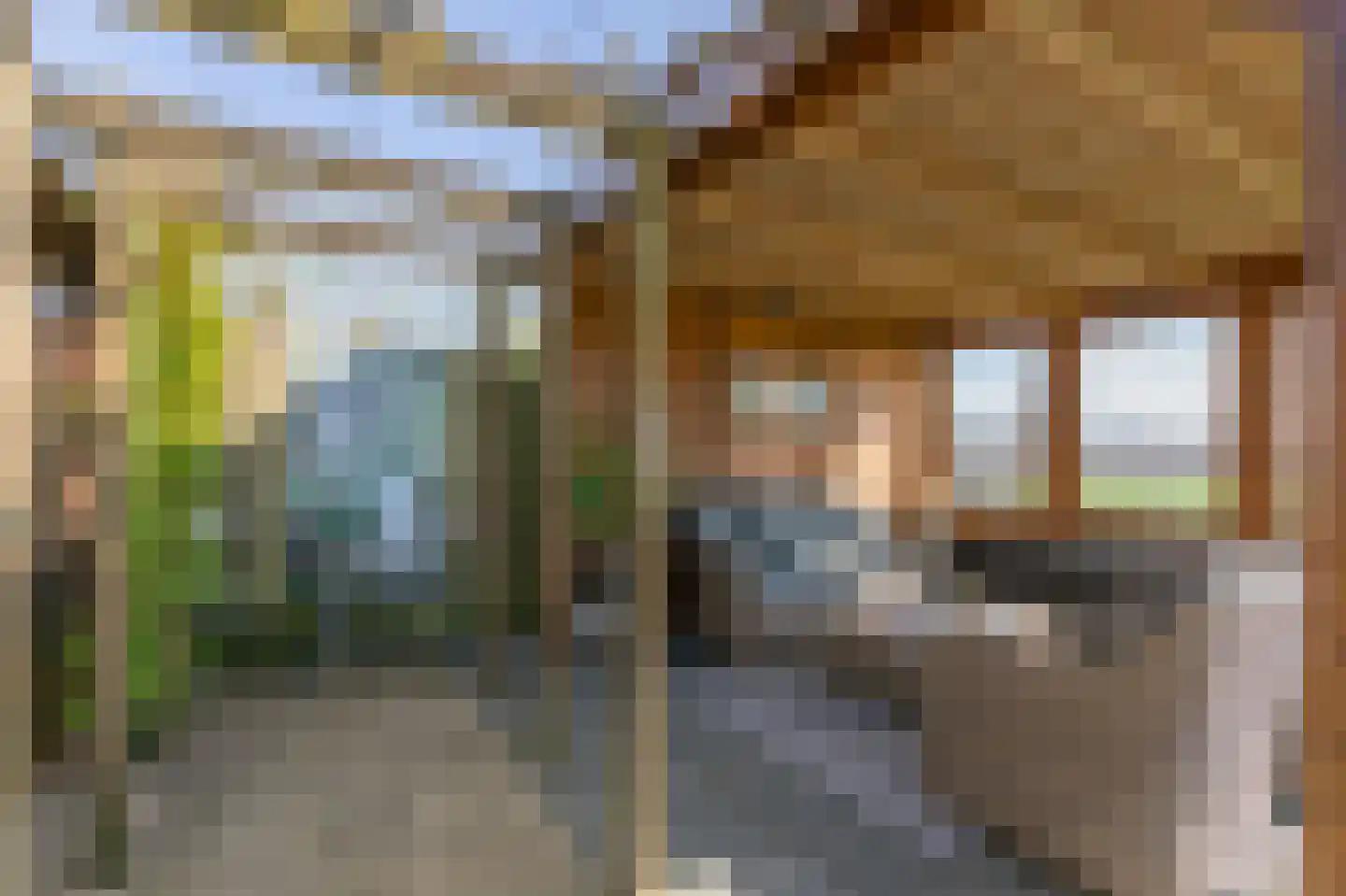 Conference 7 Duiven thumbnail 62