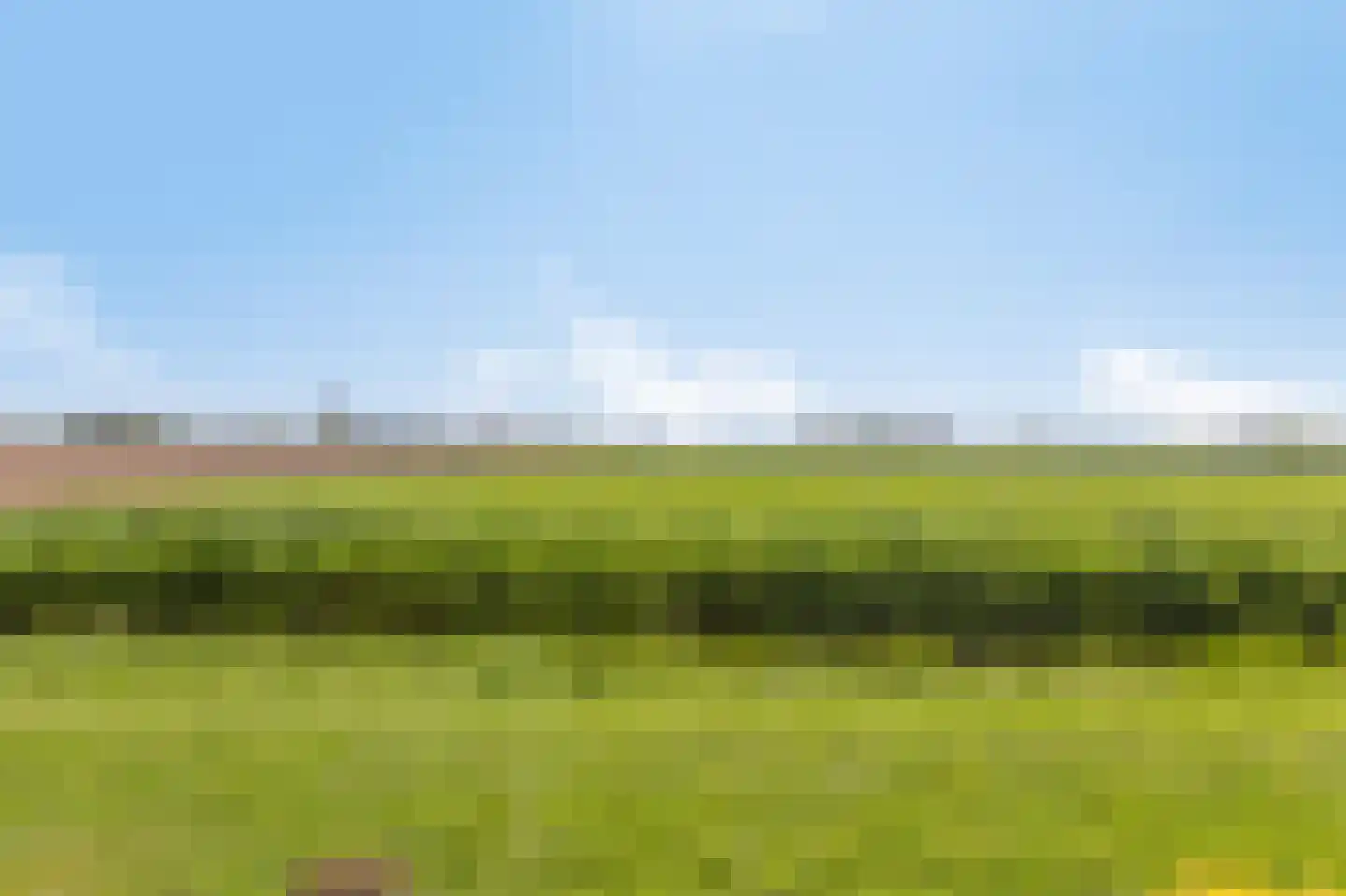Conference 7 Duiven thumbnail 65