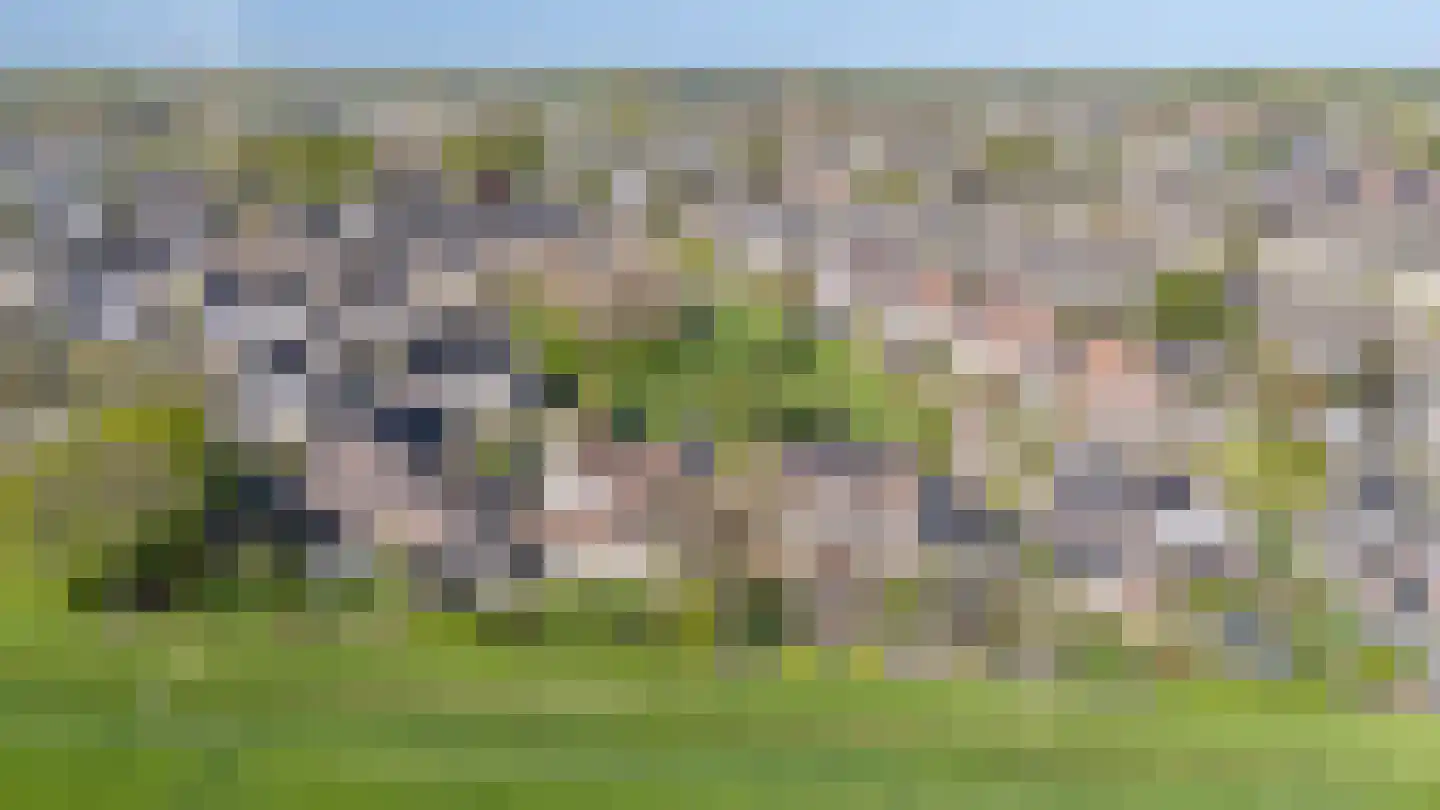 Conference 7 Duiven thumbnail 69