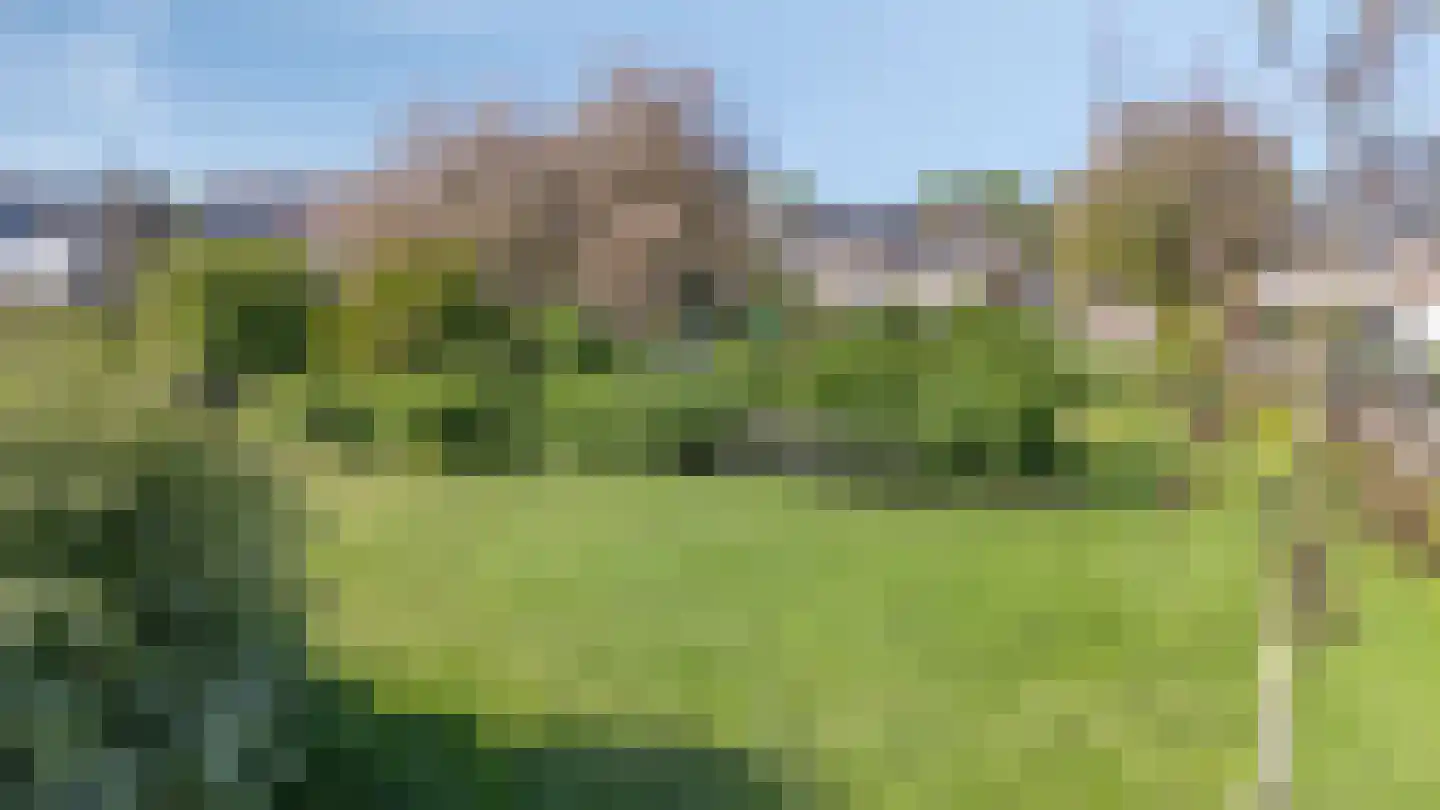 Conference 7 Duiven thumbnail 70