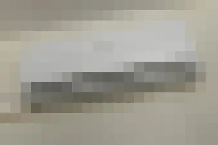 Conference 7 Elst thumbnail 17