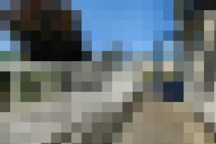 Conference 7 Elst thumbnail 18