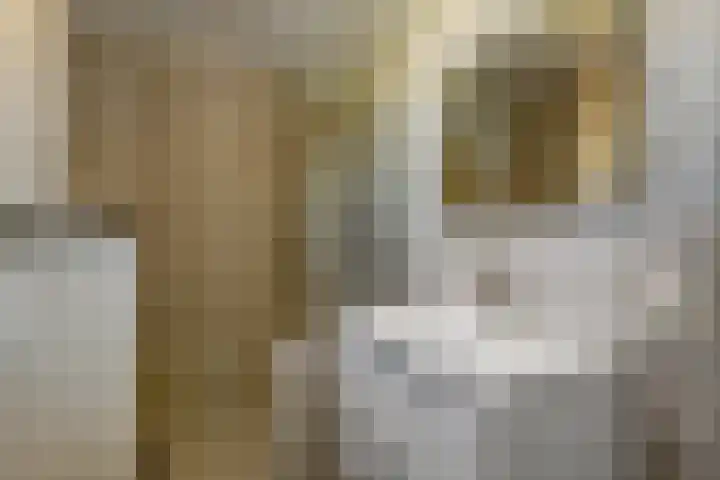 Conference 7 Elst thumbnail 21