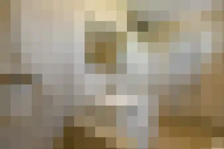 Conference 7 Elst thumbnail 22