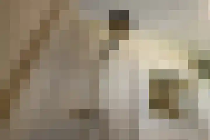 Conference 7 Elst thumbnail 23