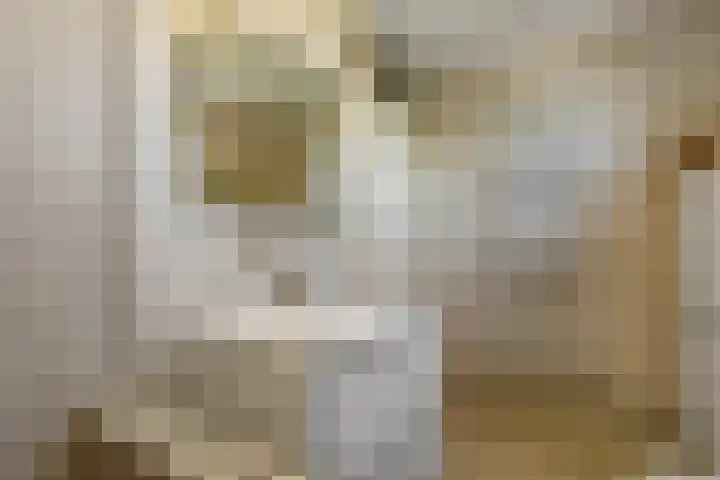 Conference 7 Elst thumbnail 24