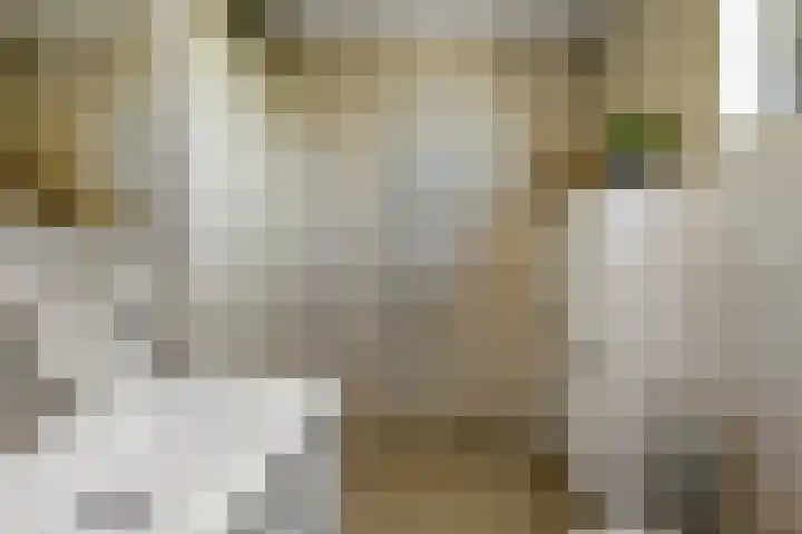 Conference 7 Elst thumbnail 25