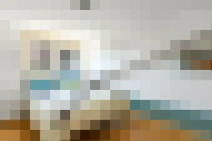 Conference 7 Elst thumbnail 27