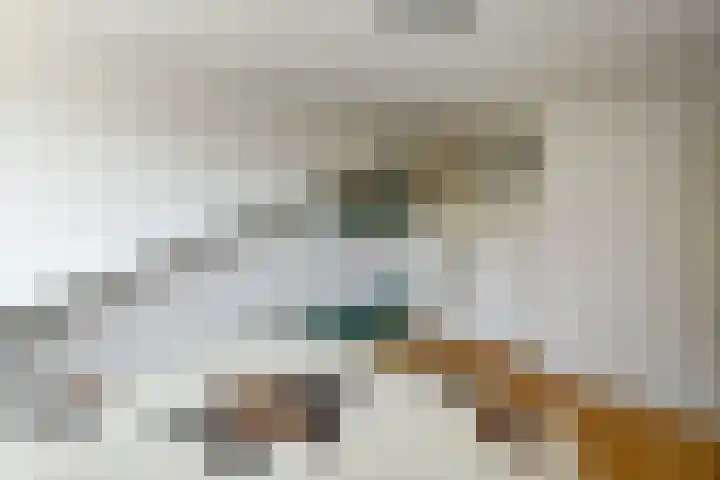 Conference 7 Elst thumbnail 29