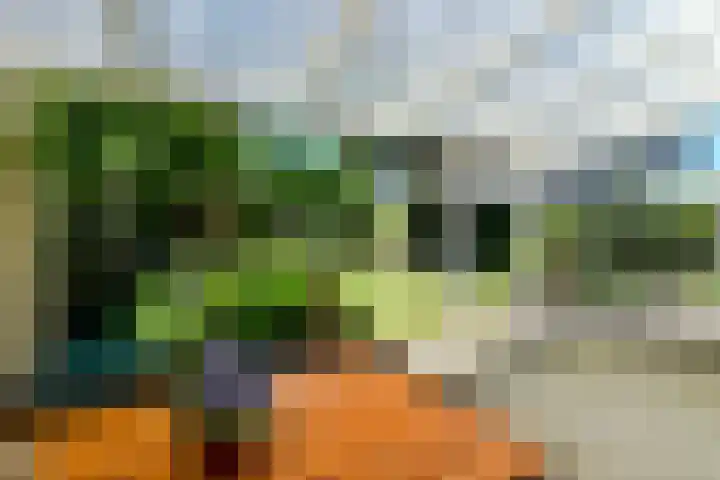 Conference 7 Elst thumbnail 32