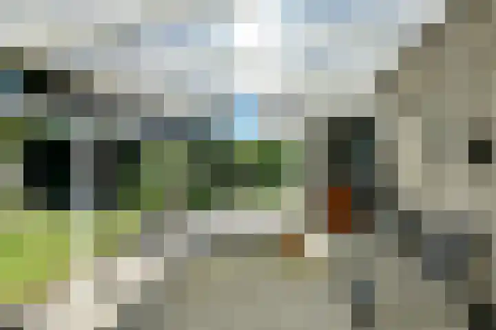 Conference 7 Elst thumbnail 33