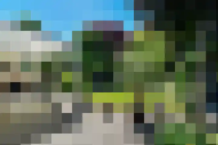 Conference 7 Elst thumbnail 34