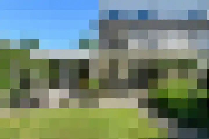 Conference 7 Elst thumbnail 35