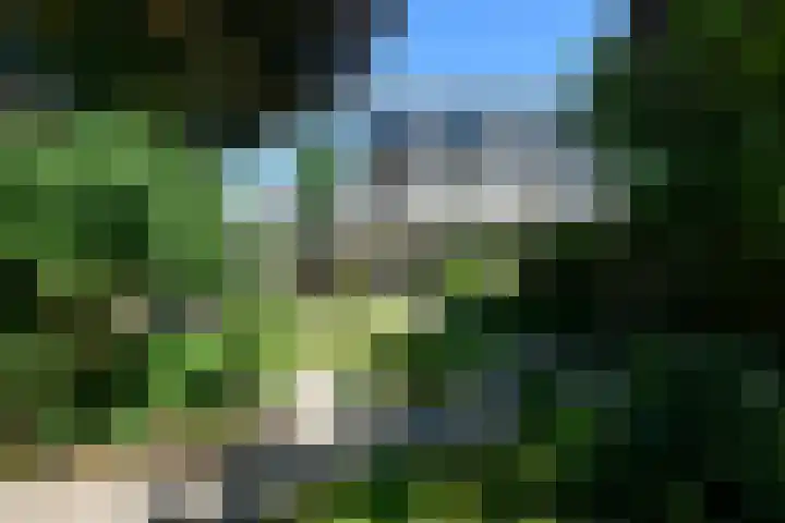 Conference 7 Elst thumbnail 36