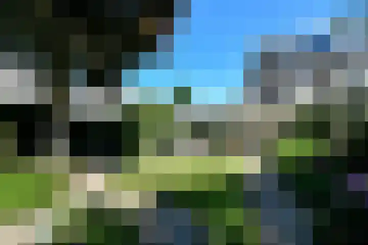 Conference 7 Elst thumbnail 37