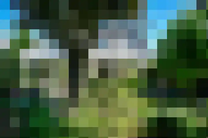 Conference 7 Elst thumbnail 38