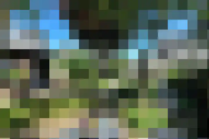 Conference 7 Elst thumbnail 39