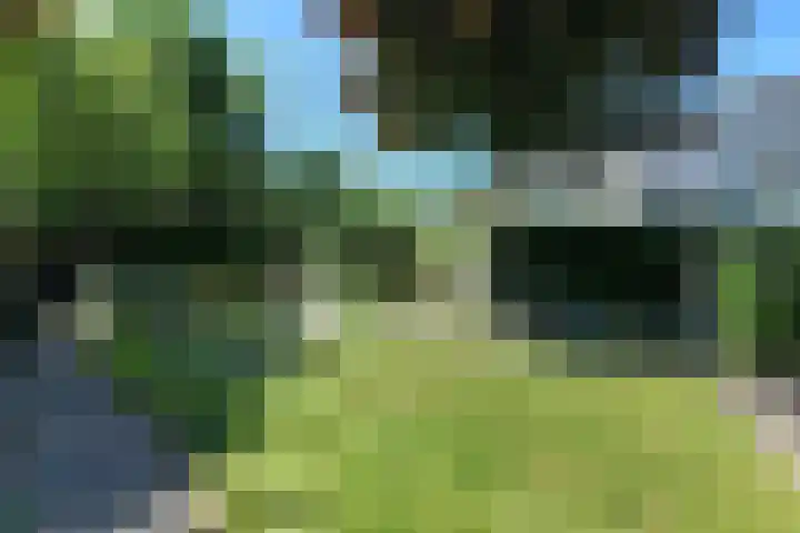 Conference 7 Elst thumbnail 4